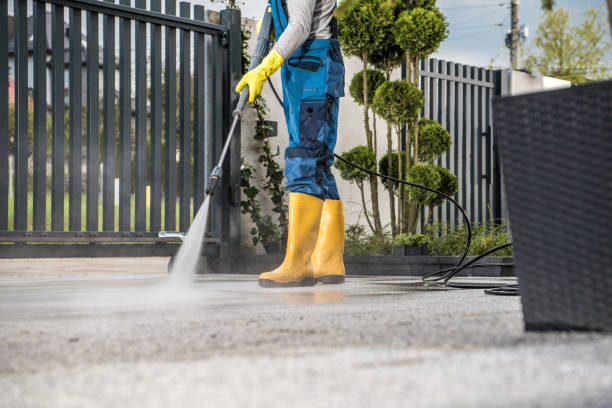 Best Solar Panel Cleaning  in Flora, IN